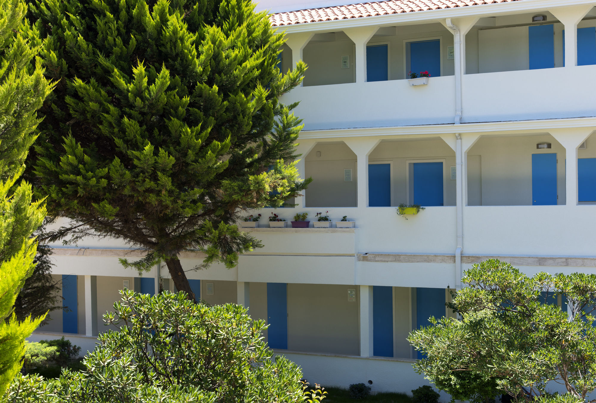 Hotel Flora Garden Ephesus Kusadasi Davutlar